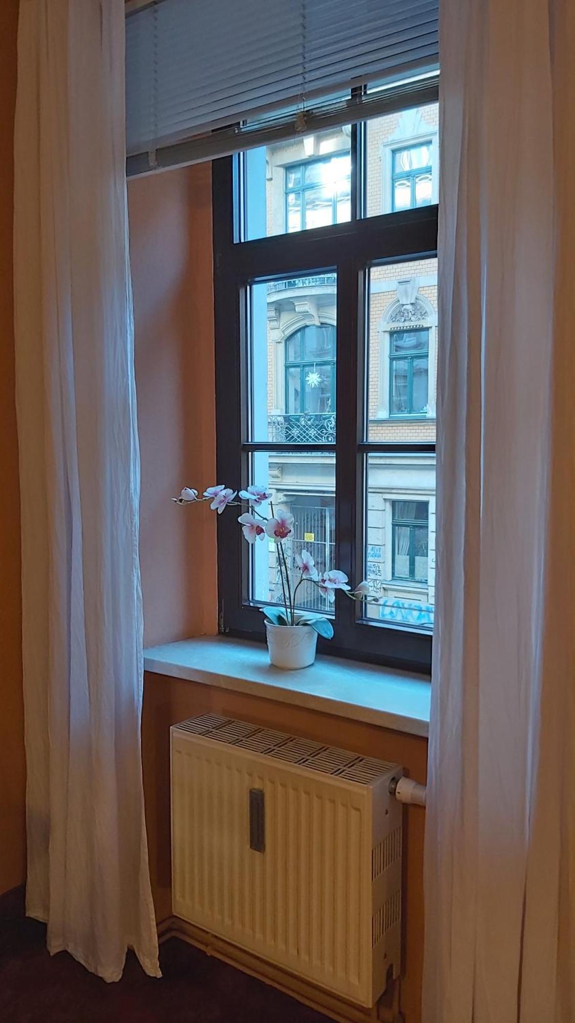 City-Ferienwohnungen-Dresden - Zentral Gelegen Im Haus Louisenstrasse 11 - Dresden-Neustadt Dış mekan fotoğraf