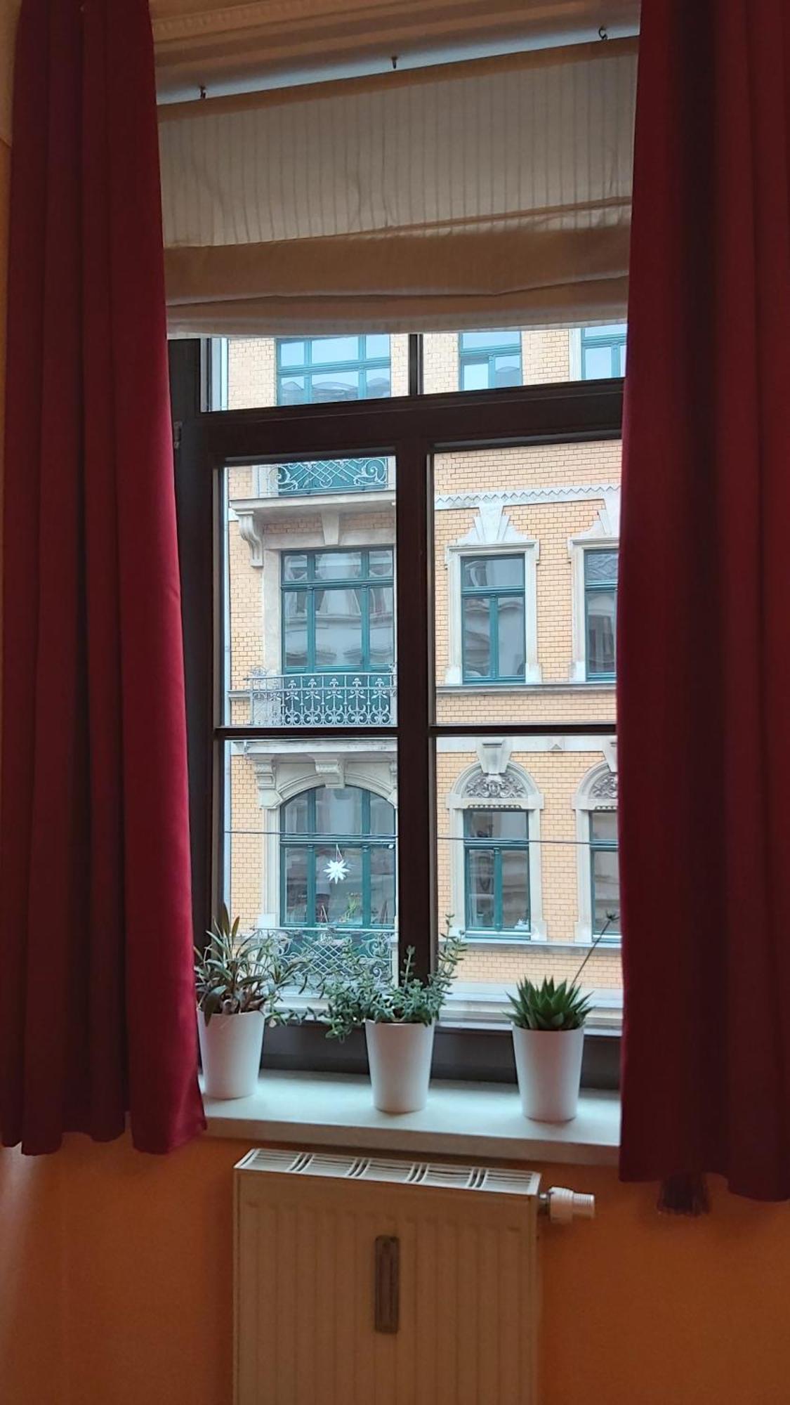 City-Ferienwohnungen-Dresden - Zentral Gelegen Im Haus Louisenstrasse 11 - Dresden-Neustadt Dış mekan fotoğraf