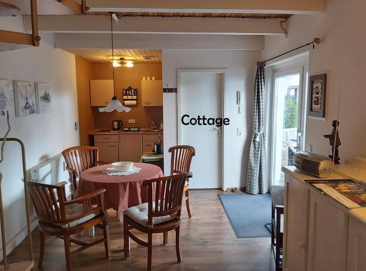 City-Ferienwohnungen-Dresden - Zentral Gelegen Im Haus Louisenstrasse 11 - Dresden-Neustadt Dış mekan fotoğraf